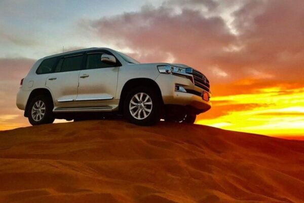 Morning Desert Safari
