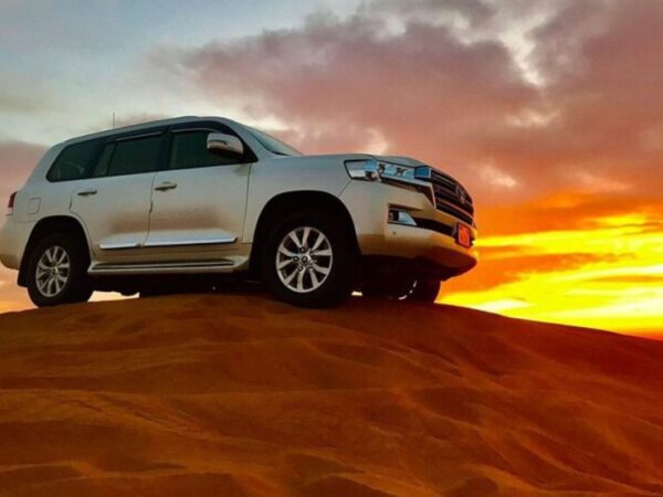 Morning Desert Safari