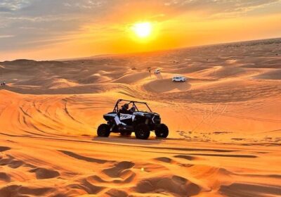 Desert Safari